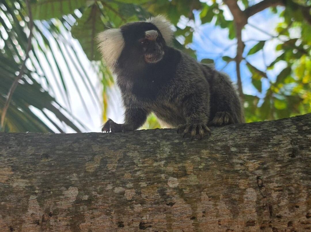 Marape Dunes-Jequia da Praia必去景点