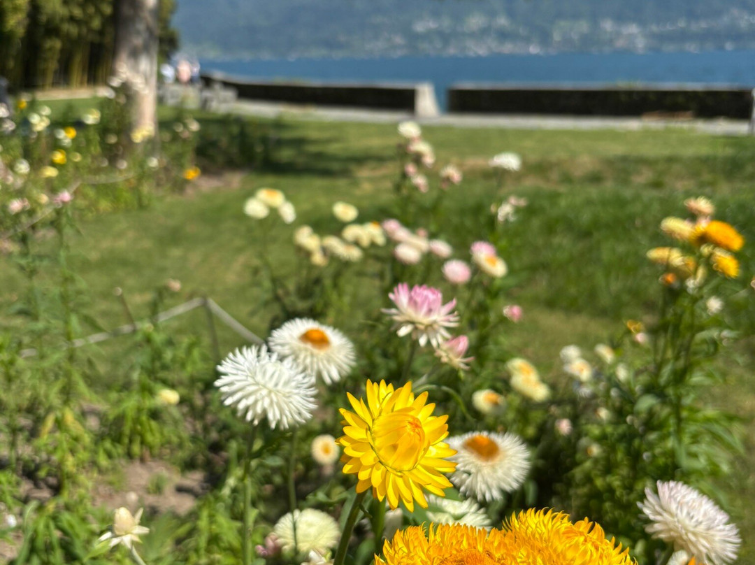 Brissago Islands-Brissago必去景点