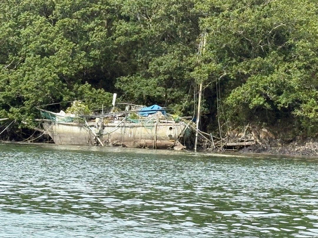 Helford River Cruises-Mawnan Smith必去景点