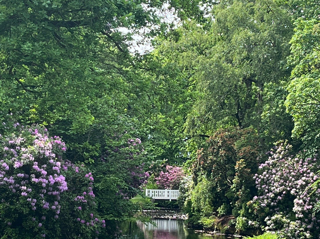 Schlosspark Lütetsburg-Luetetsburg必去景点