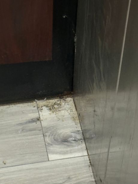杰克森维尔拉昆塔温德姆套房酒店-旅行者