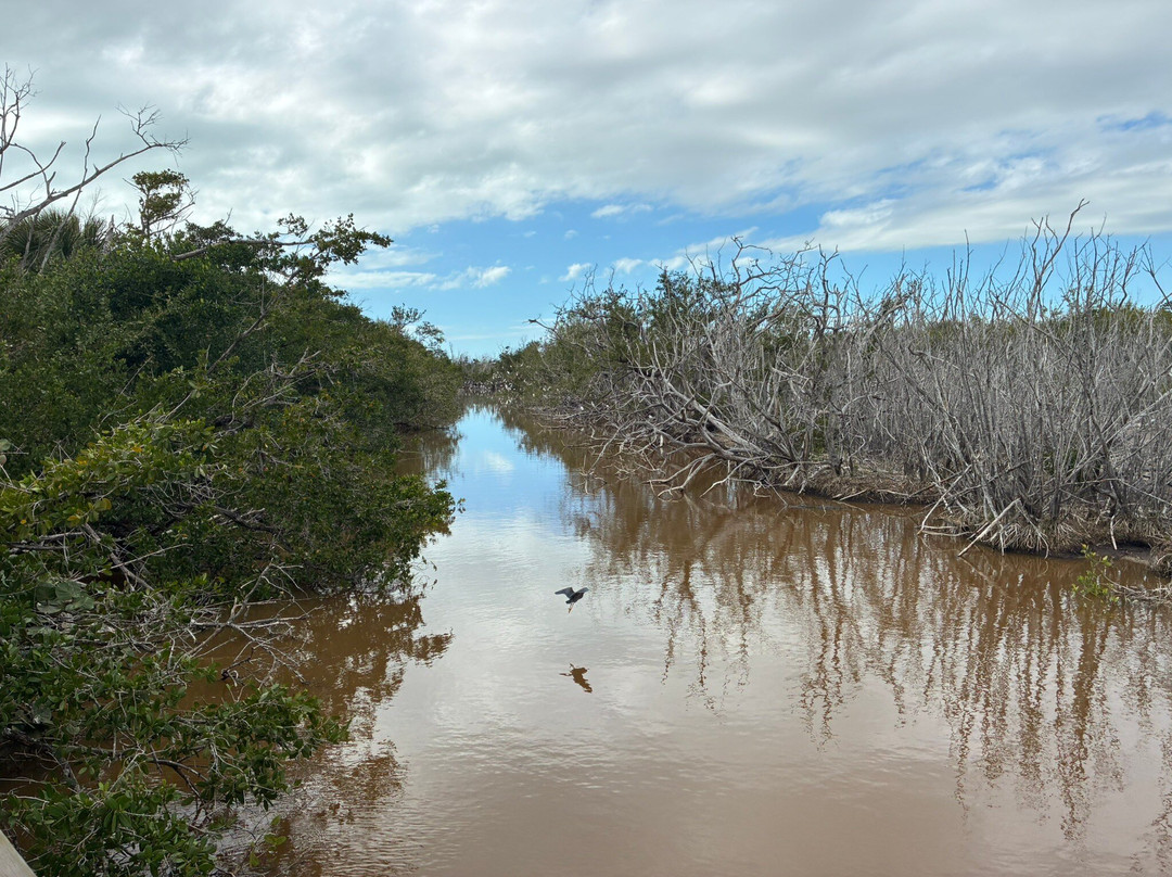 J.N. "Ding" Darling National Wildlife Refuge-萨尼贝尔岛必去景点