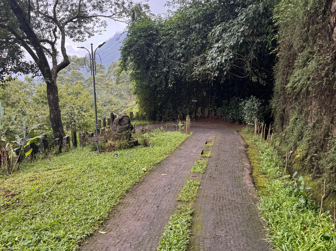 蒙纳黑莓山酒店 - 自然度假村及水疗中心主图
