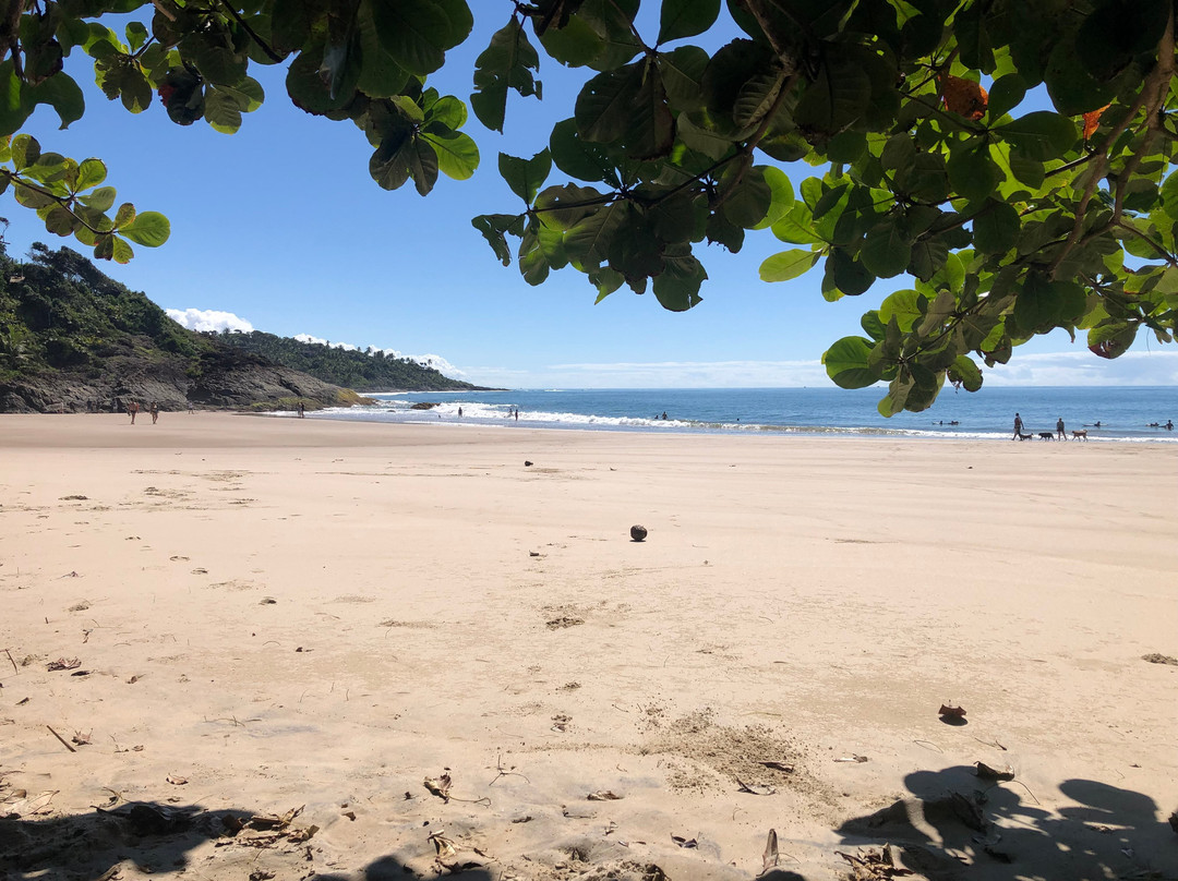 Ribeira Beach-Itacare必去景点