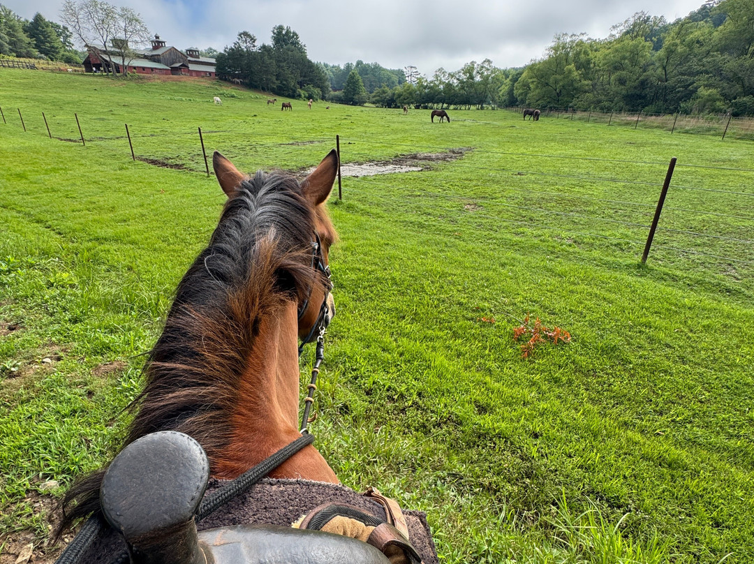 Appalachian Trail Rides-Mineral Bluff必去景点