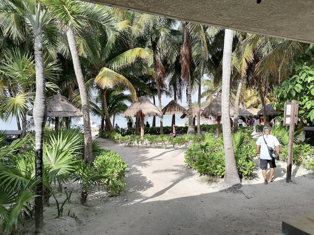Akumal Beach-艾库玛尔必去景点