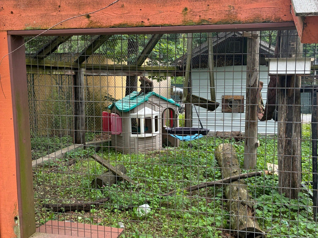 Indian Creek Zoo-Lambertville必去景点