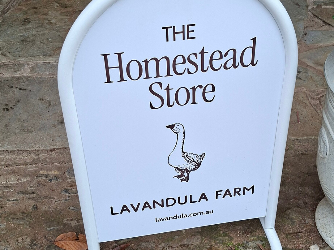 Lavandula Farm-Shepherds Flat必去景点
