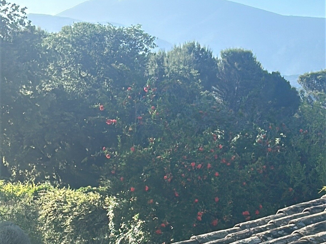 达纳斯旅馆主图
