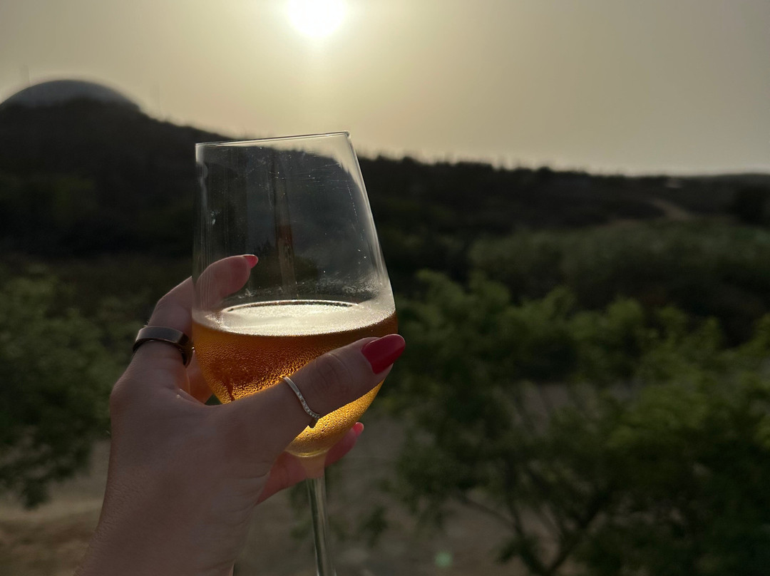 Alto Vista Winery-Noord必去景点