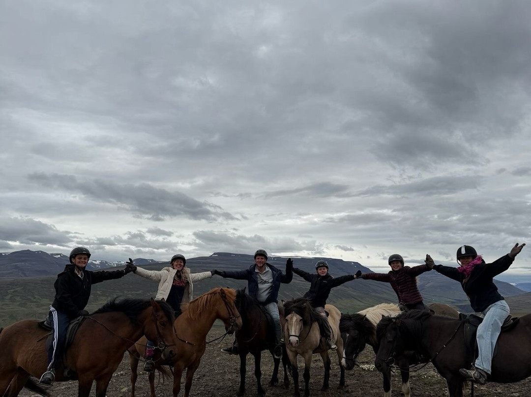 Lýtingsstadir Riding Tours-Varmahlid必去景点
