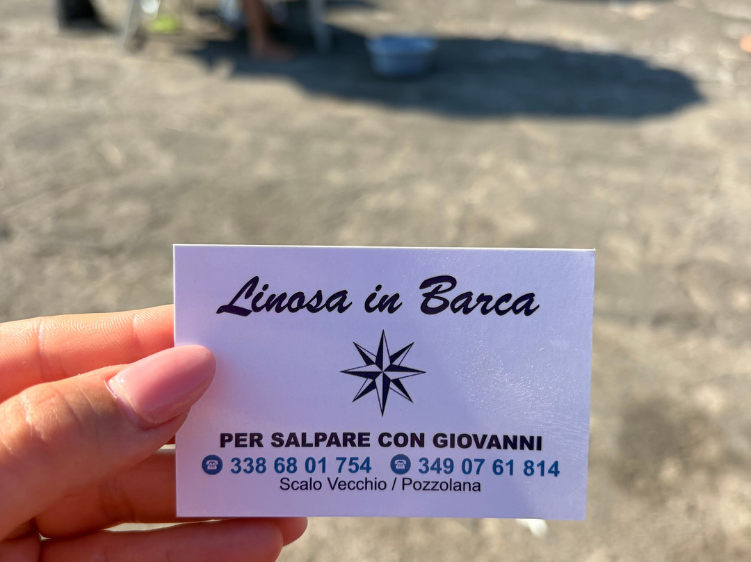 Linosa in Barca-Linosa必去景点