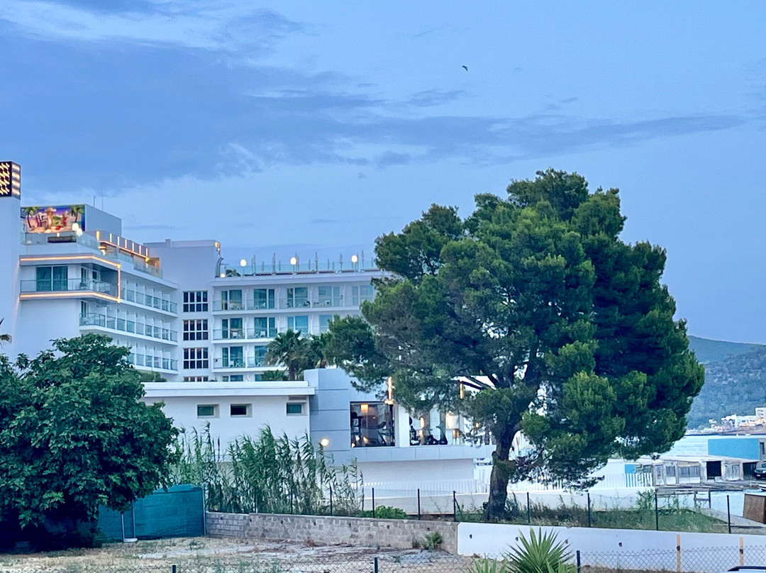 伊比萨艾梅尔海滩酒店 - 建议成人入住主图