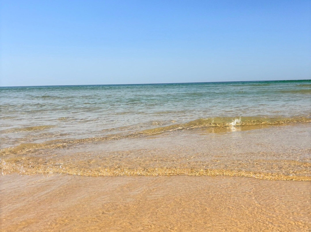 Plage de l'Horizon-Cap-Ferret必去景点