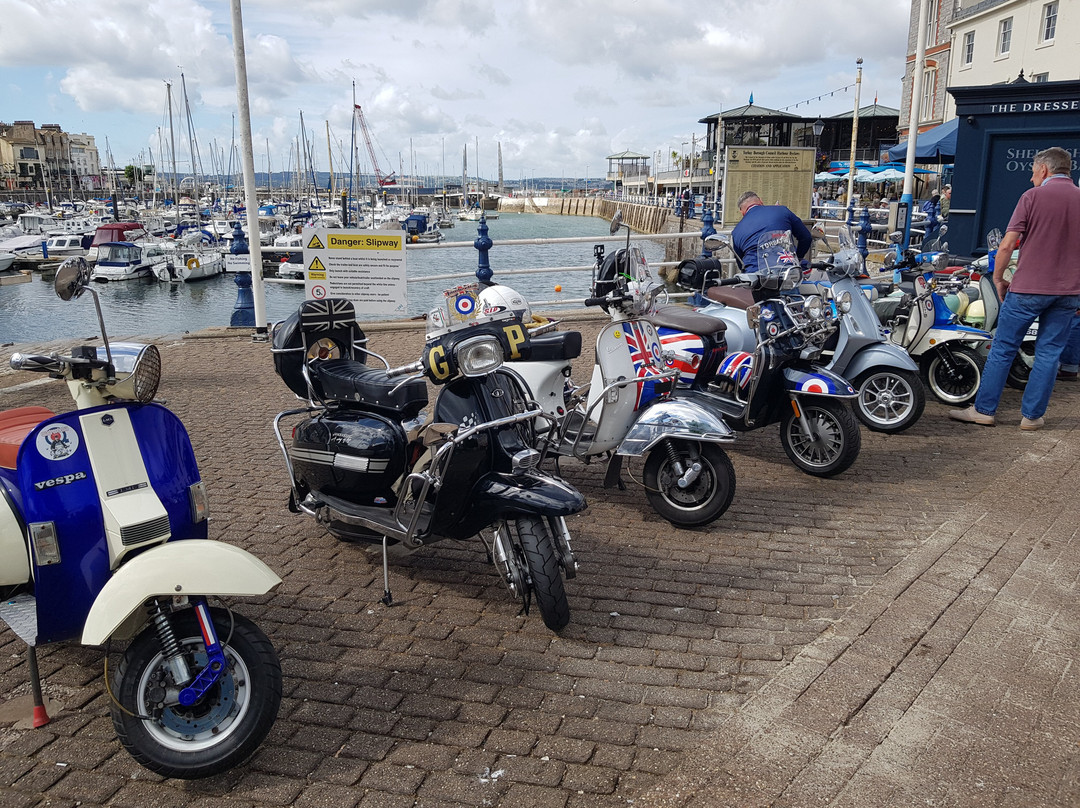 MDL Torquay Marina-托基必去景点