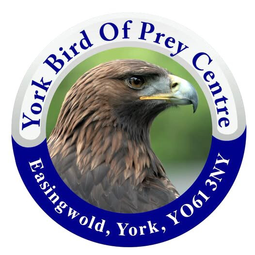 York Bird of Prey Centre-伊辛瓦必去景点