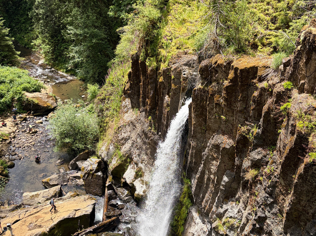 Drift Creek Falls Trail-Otis必去景点