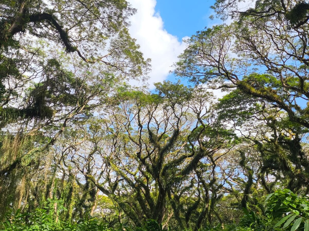 Yukbanyuwangi-巴纽旺宣必去景点