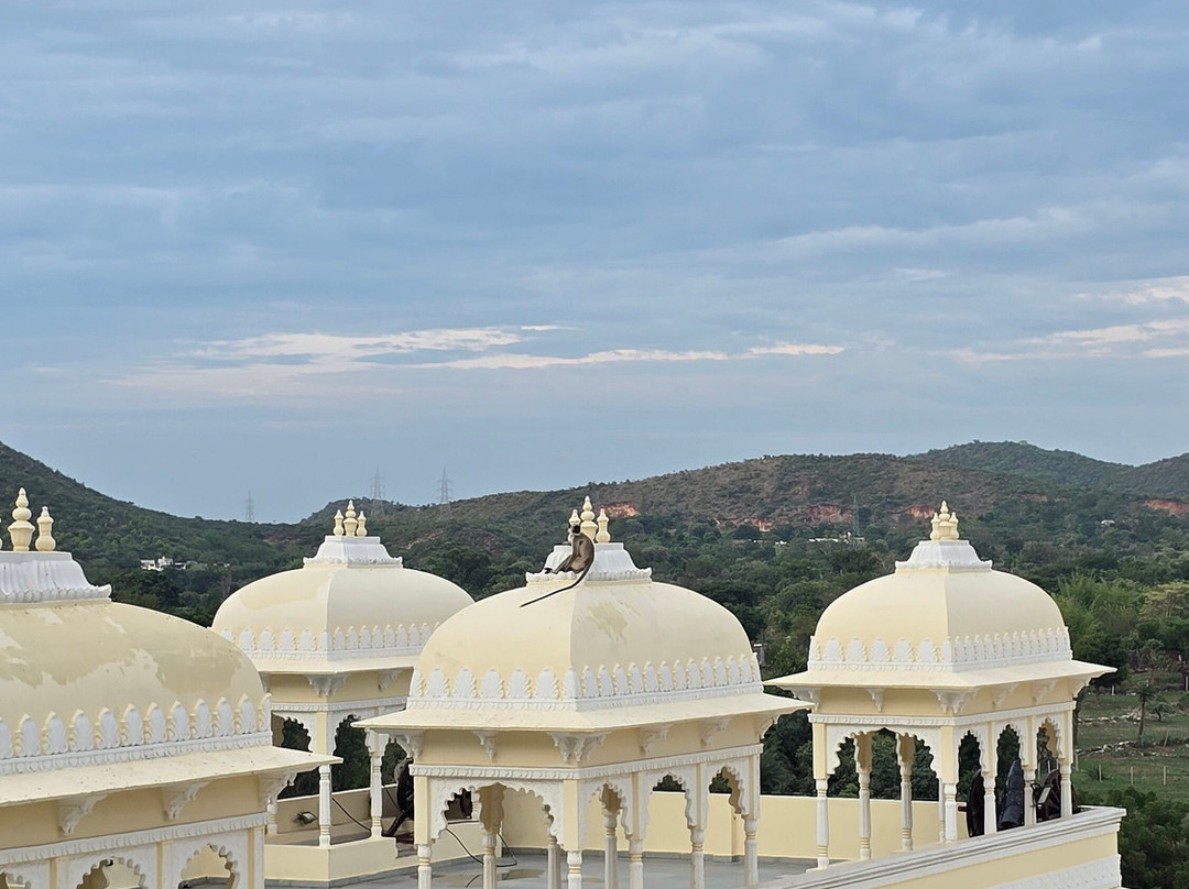 Labh Garh Palace Resort & Spa主图
