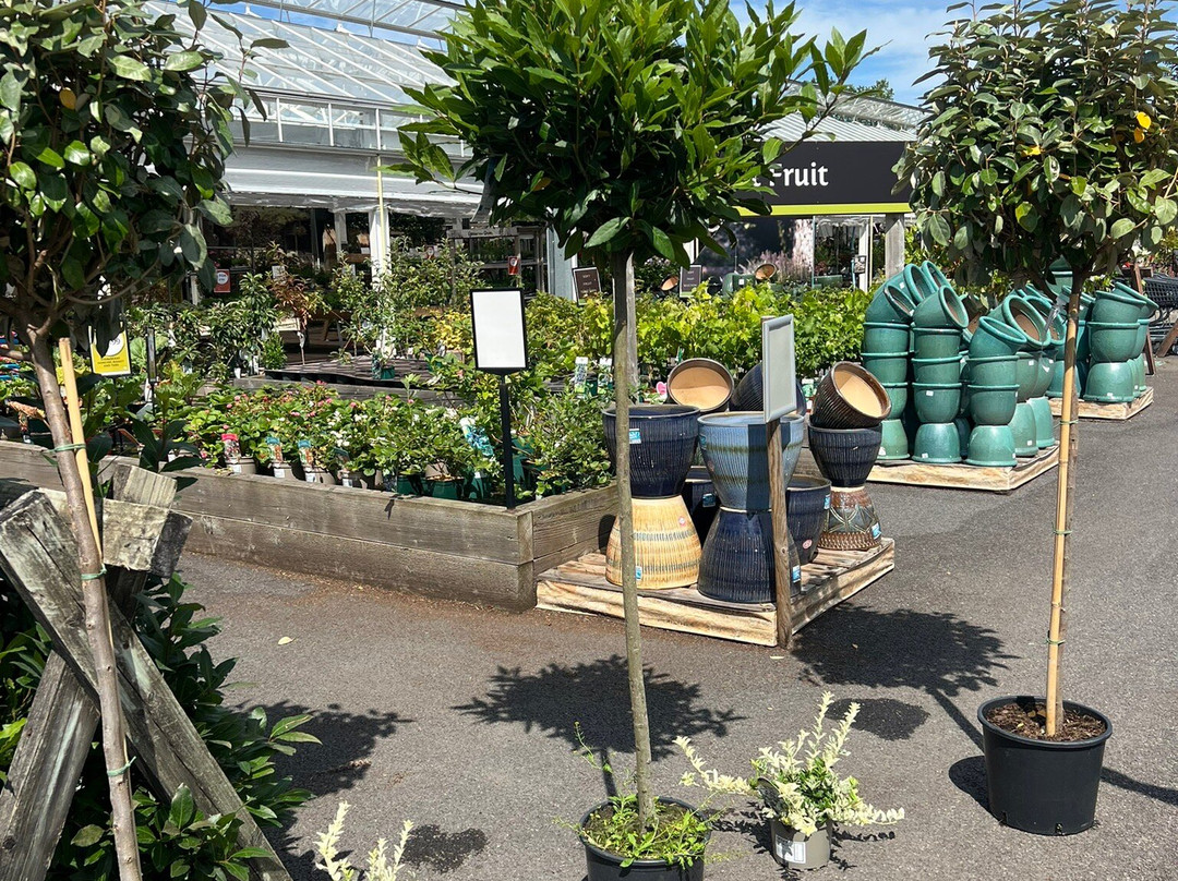 Otter Nurseries Garden Centre-Ottery St. Mary必去景点