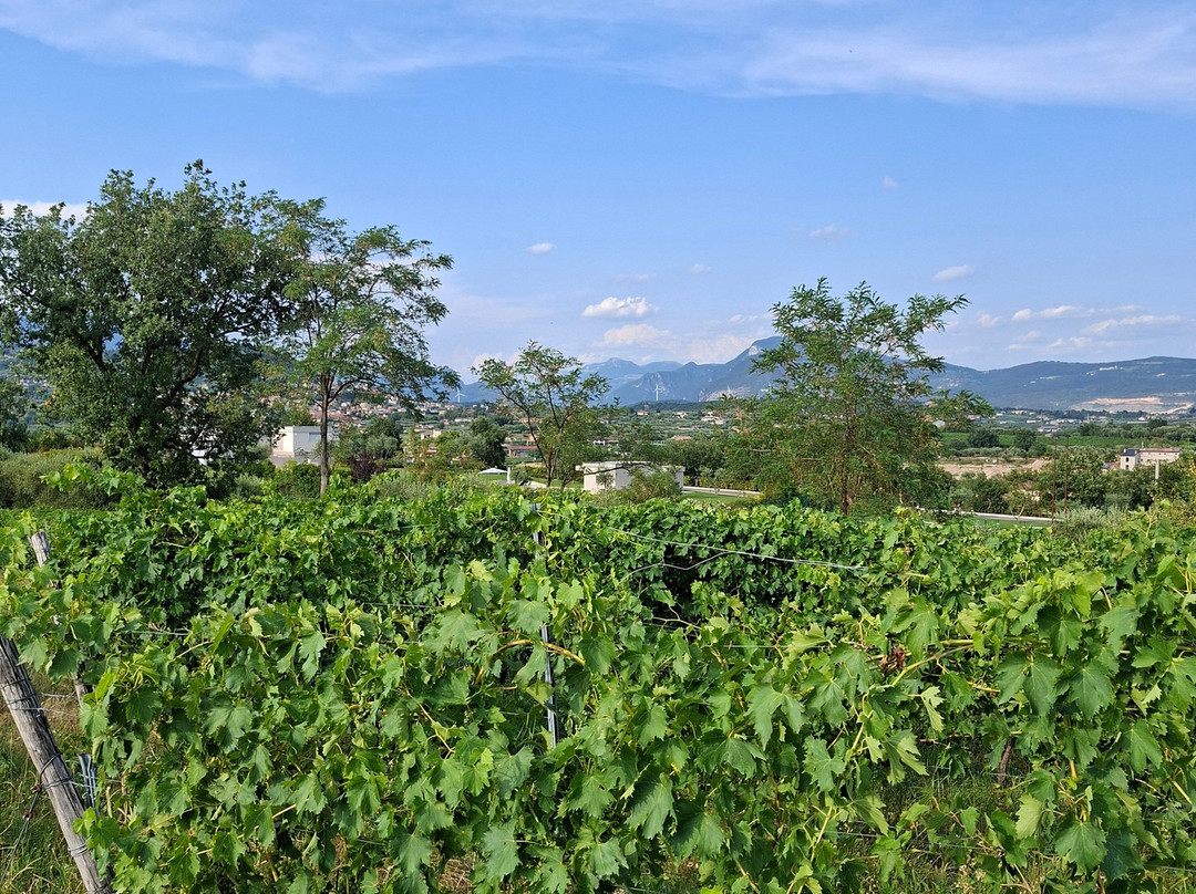 Villa Calicantus-Calmasino必去景点