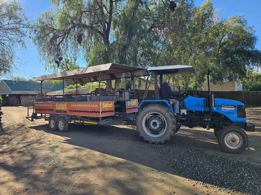 Safari Ostrich Farm-奥兹洪必去景点