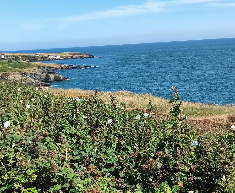 Cemaes Bay Traeth Bach Beach-Cemaes Bay必去景点