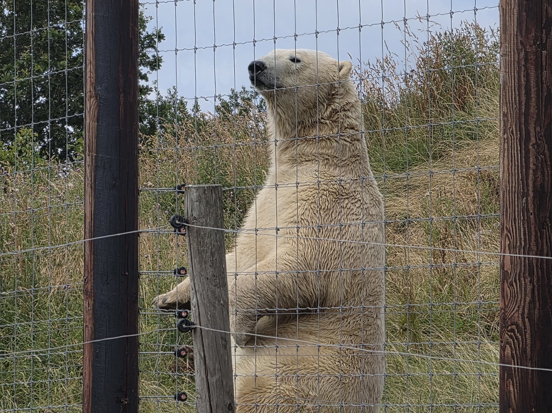 Peak Wildlife Park-Winkhill必去景点