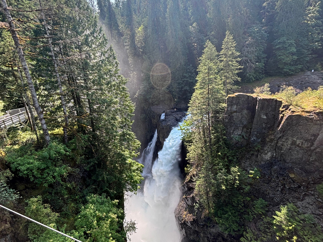 Elk Falls Suspension Bridge-坎贝尔里弗必去景点