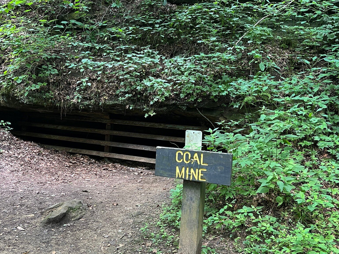 Turkey Run State Park-Marshall必去景点