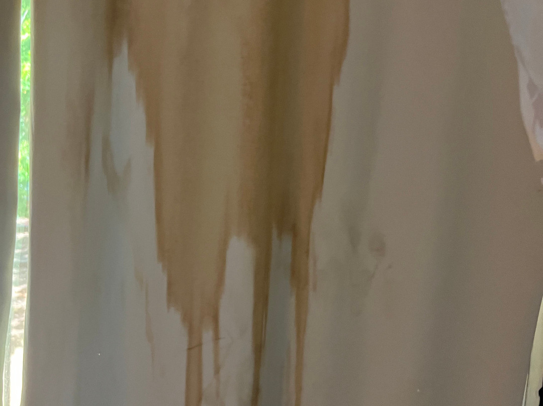 Solace by the Sea主图