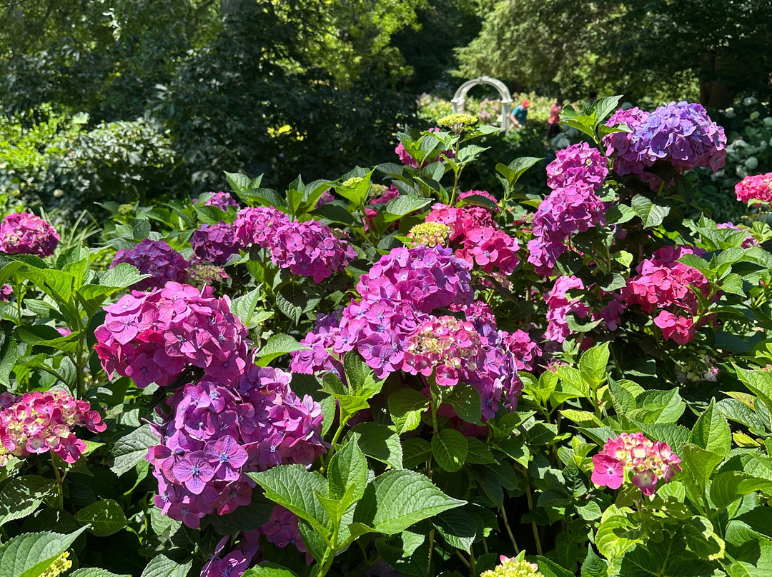 Heritage Museums & Gardens-桑威奇必去景点