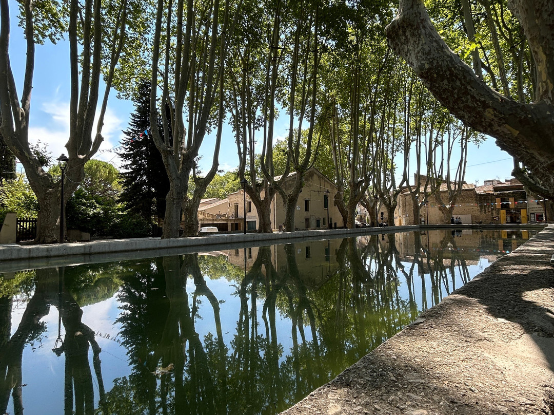 Bassin De L Étang-Cucuron必去景点