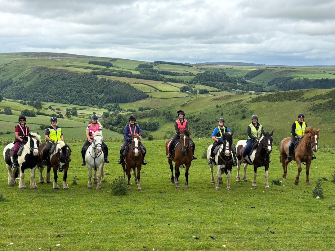 Springhill Farm Riding Stables-奥斯沃斯特必去景点