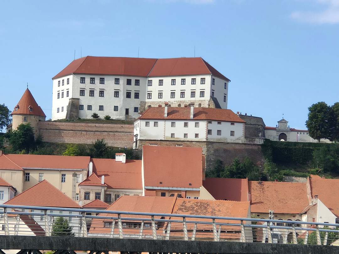 Ptuj City Tower-普图伊必去景点