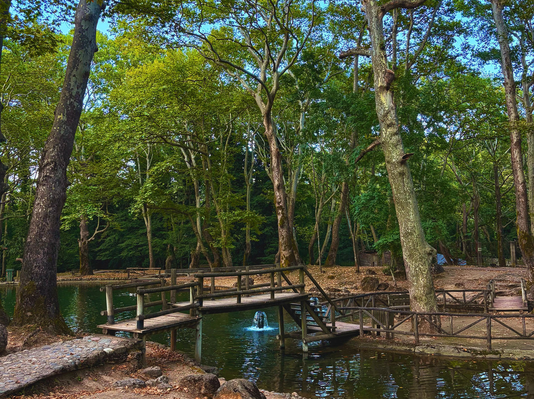 Agios Nikolaos Park-Naousa必去景点