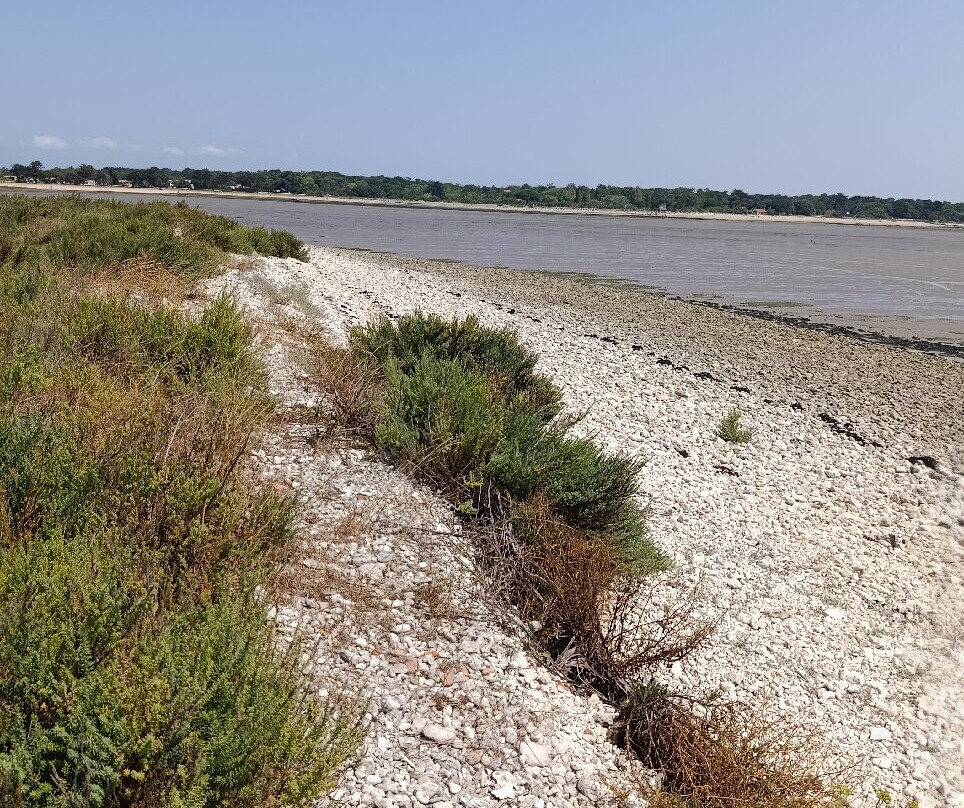 Fouras - Île d’Aix-Fouras必去景点