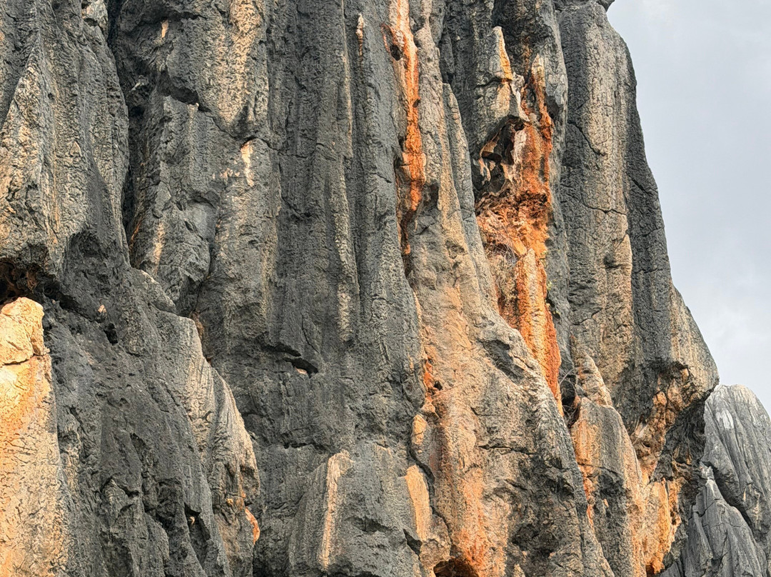 Sightseeing Tours Australia-墨尔本必去景点