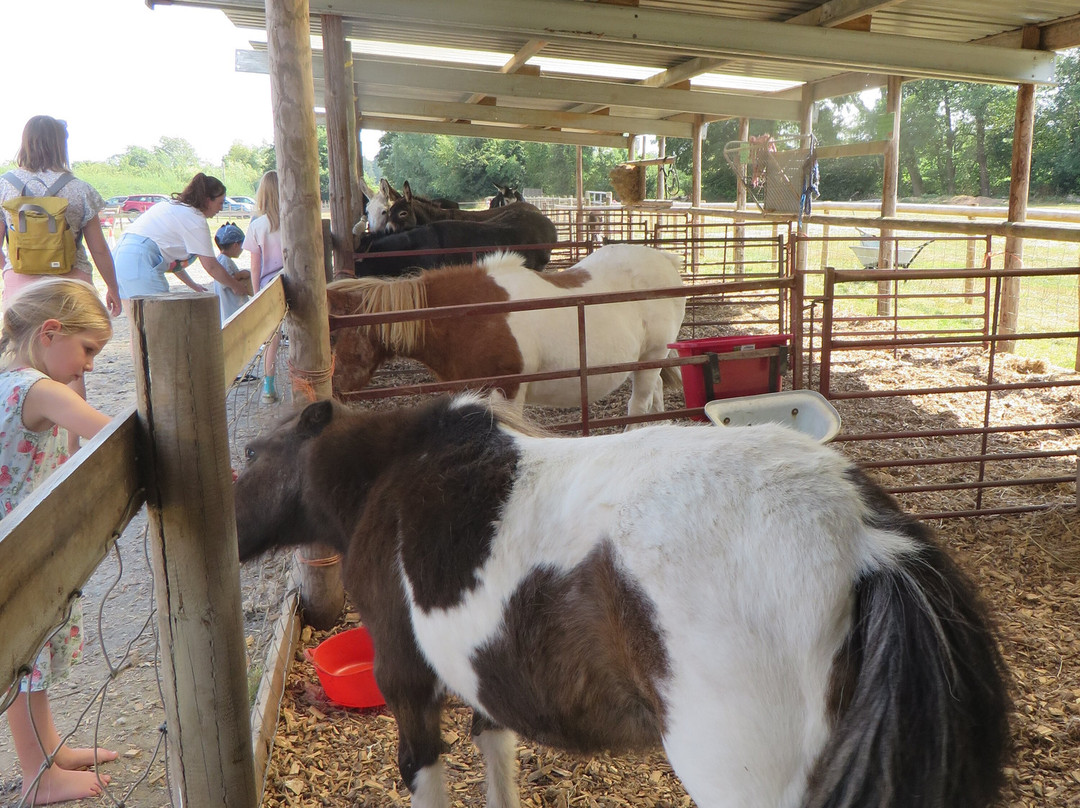Newbridge Farm Park-Ledbury必去景点