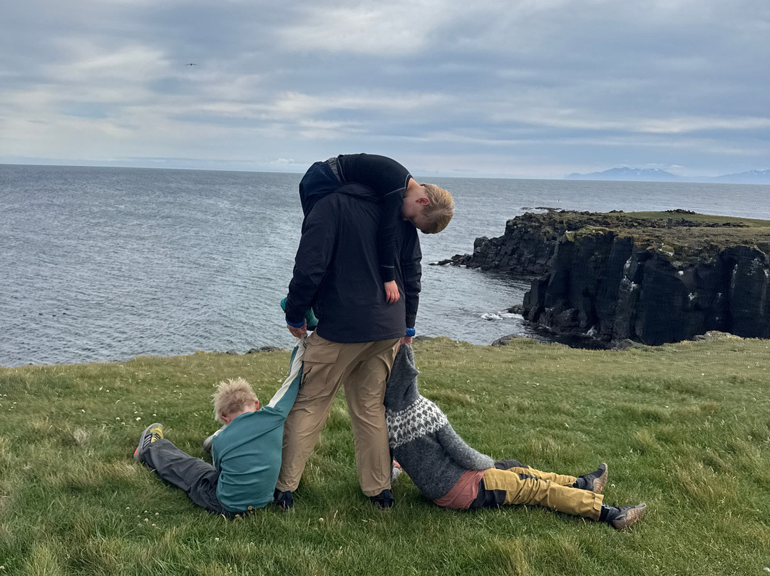 Orbis et Globus-Grimsey Island必去景点