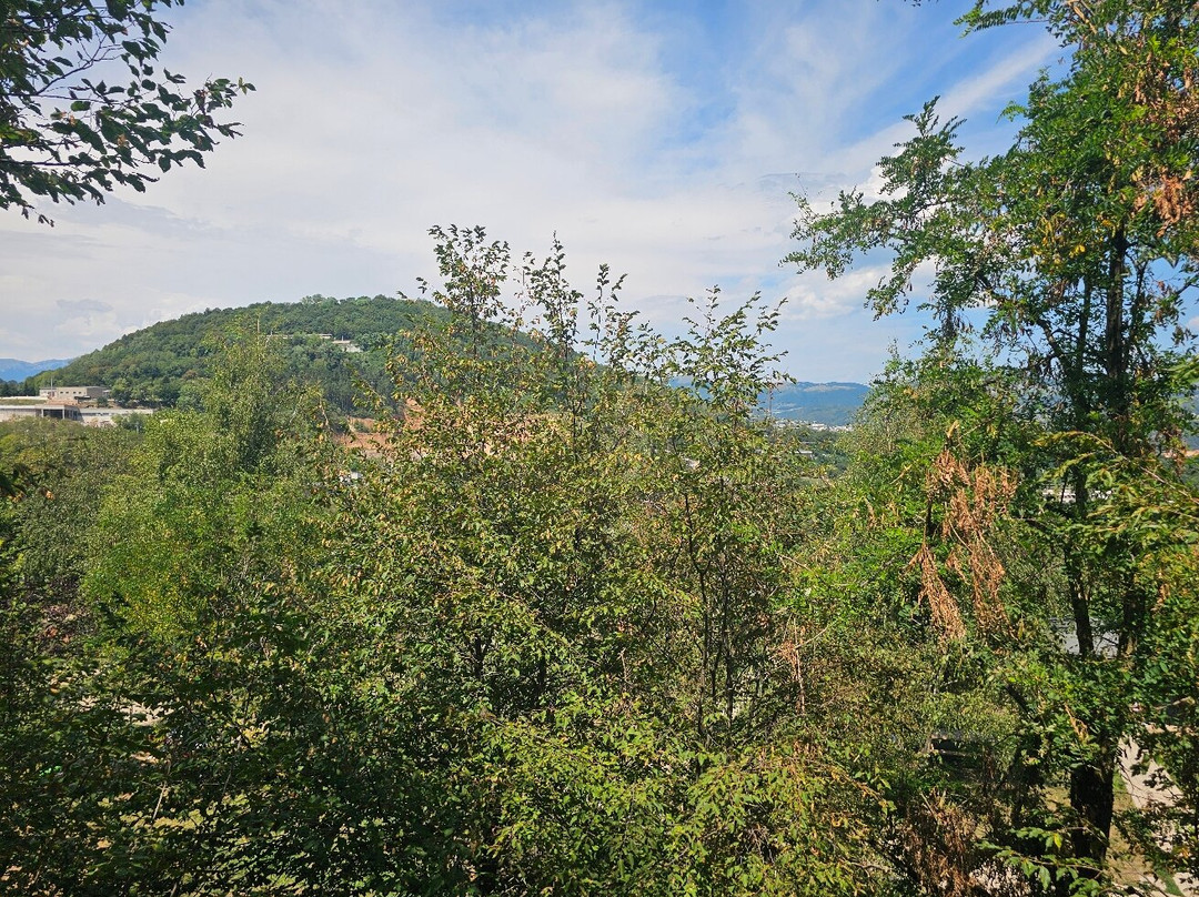 Bosco Allegro-Sant'Anna di Alfaedo必去景点