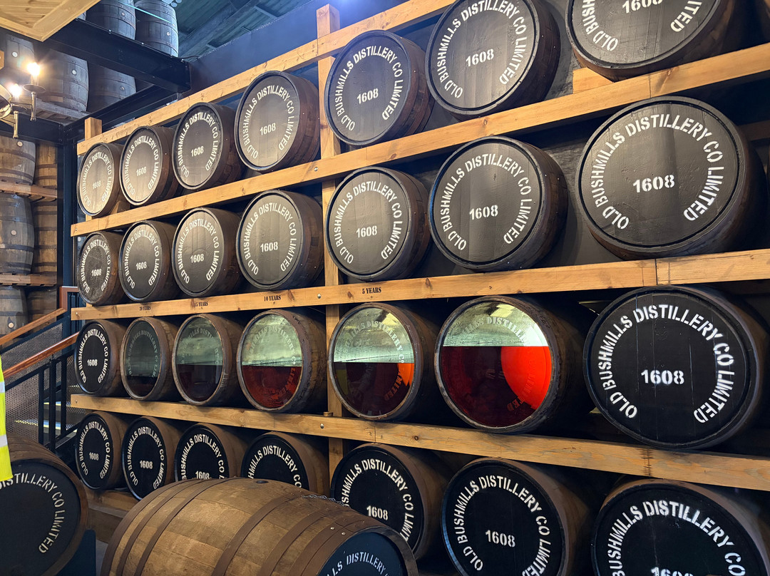 Bushmills Distillery-布什米尔斯必去景点