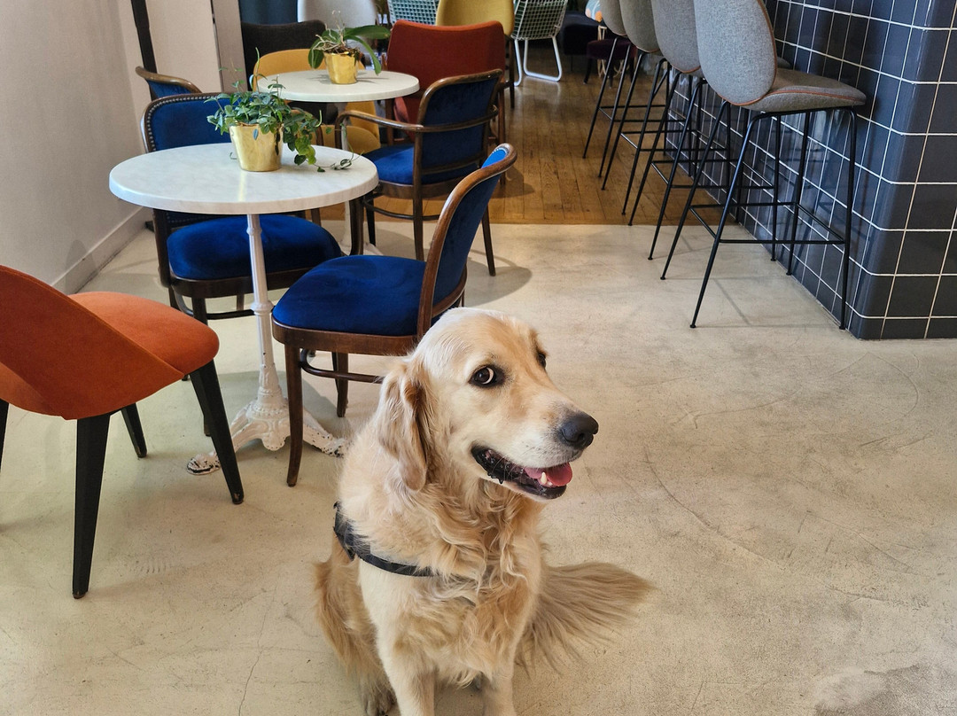 科隆斯酒店主图
