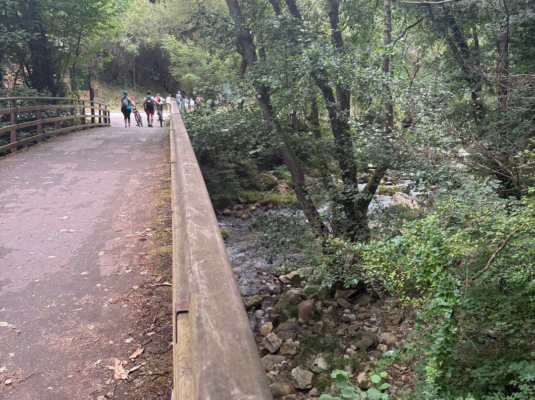 Senda Del Oso Experience - Teverastur-Teverga Municipality必去景点
