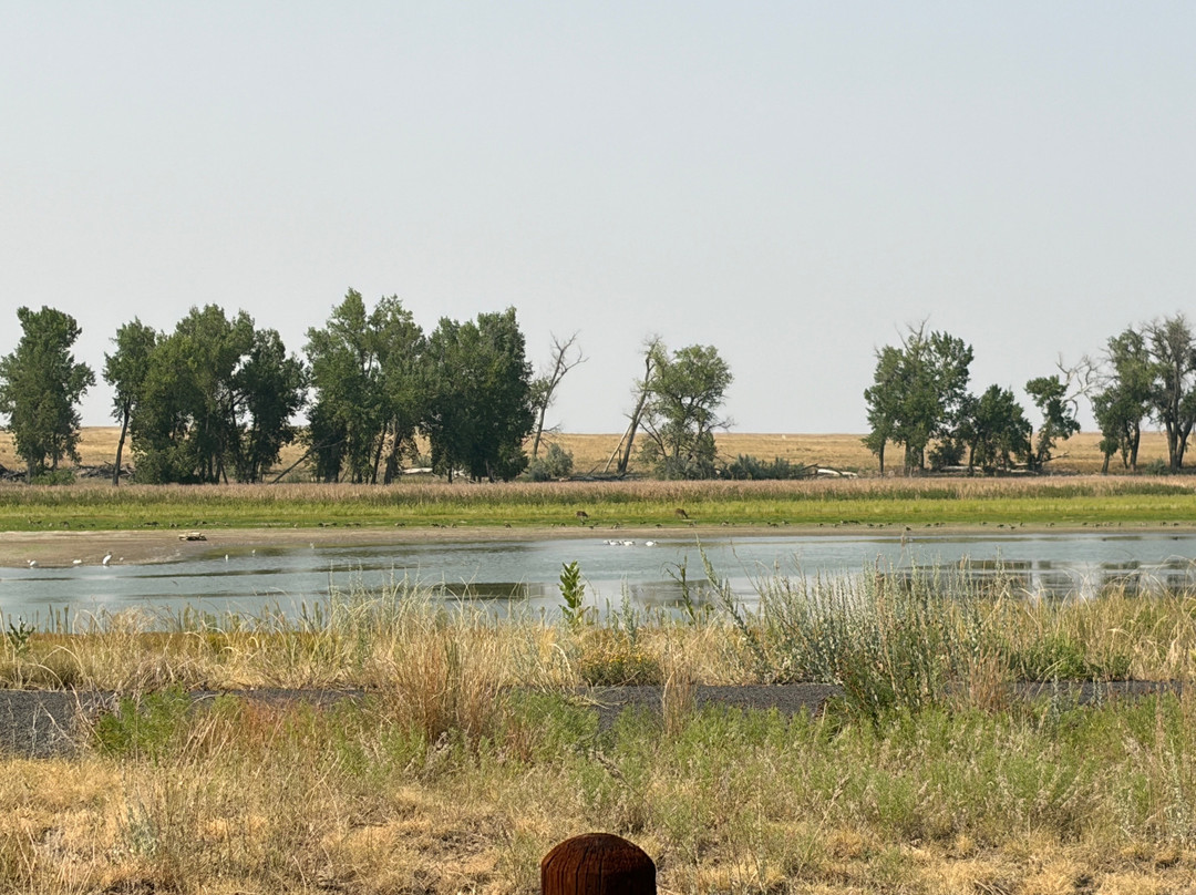 Rocky Mountain Arsenal National Wildlife Refuge-Commerce City必去景点