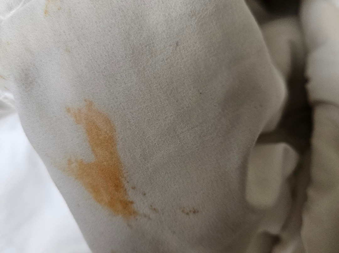 舒适酒店-近格尼六旗主图