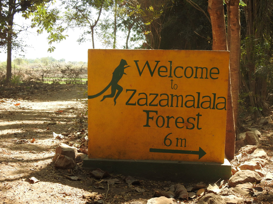Zazamalala Wildlife Centre-Morondava必去景点
