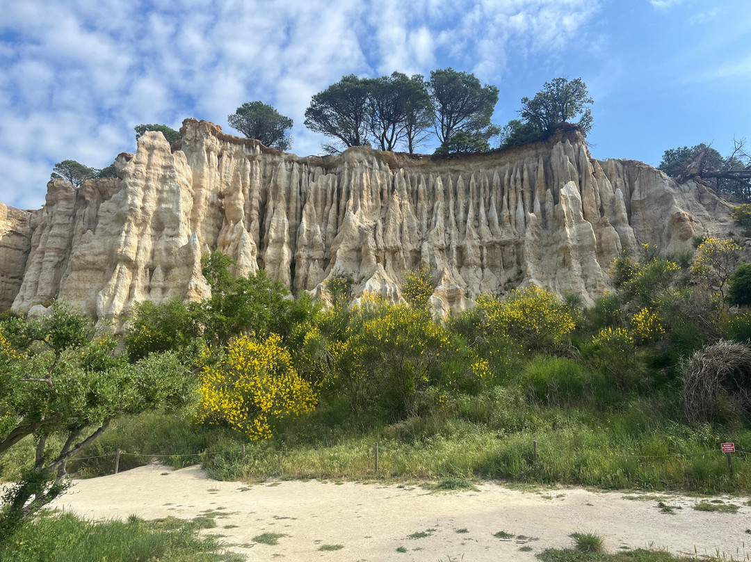 Belesta旅游景点-Les Orgues D'Ille Sur Tet