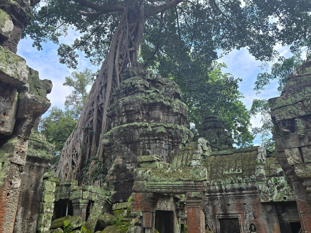 Jimmy  Private Angkor Guide & Driver-暹粒必去景点