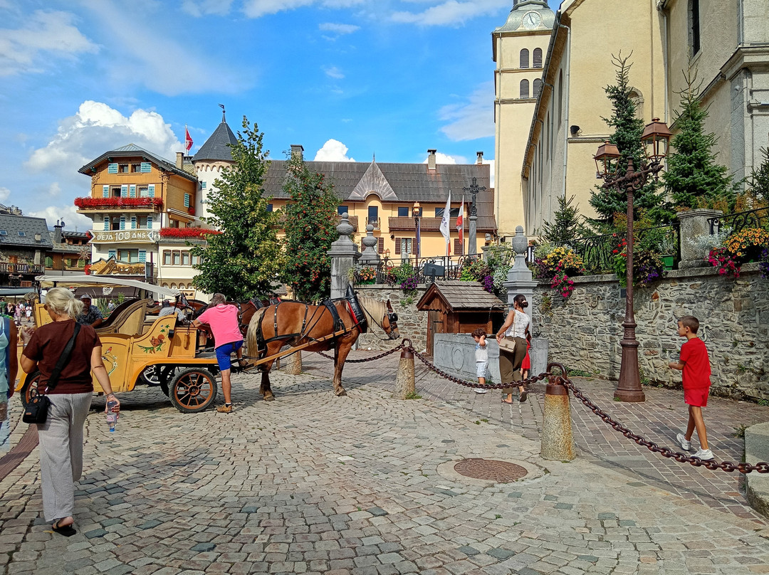 Traineaux de Megève